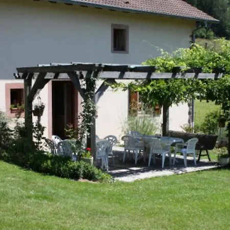 Grande Ferme Renovee Avec Jardin, Terrasse Et Sentiers A Proximite - Vosges - Fr-1-589-232