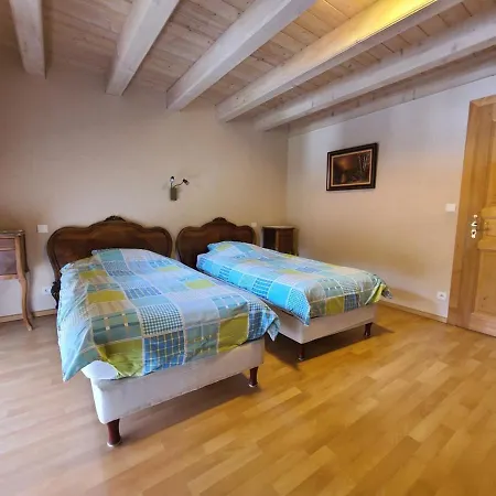 Grande Ferme Renovee Avec Jardin, Terrasse Et Sentiers A Proximite - Vosges - Fr-1-589-232