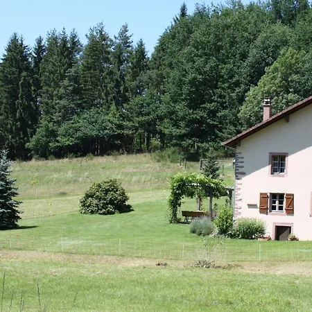 Grande Ferme Renovee Avec Jardin, Terrasse Et Sentiers A Proximite - Vosges - Fr-1-589-232 Taintrux