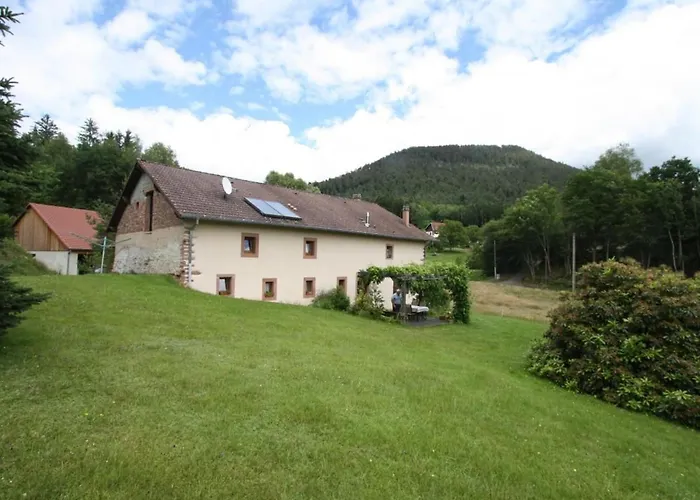 Grande Ferme Renovee Avec Jardin, Terrasse Et Sentiers A Proximite - Vosges - Fr-1-589-232 Taintrux