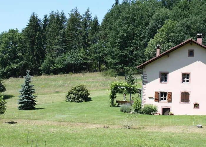 Grande Ferme Renovee Avec Jardin, Terrasse Et Sentiers A Proximite - Vosges - Fr-1-589-232 Taintrux